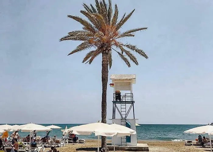 Paradise Homes 17 アパート